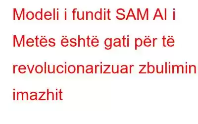 Modeli i fundit SAM AI i Metës është gati për të revolucionarizuar zbulimin e imazhit