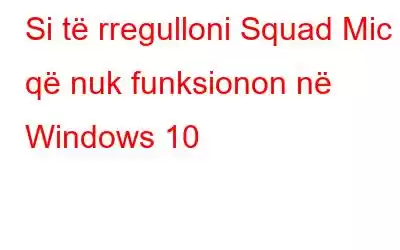 Si të rregulloni Squad Mic që nuk funksionon në Windows 10