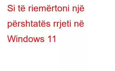 Si të riemërtoni një përshtatës rrjeti në Windows 11