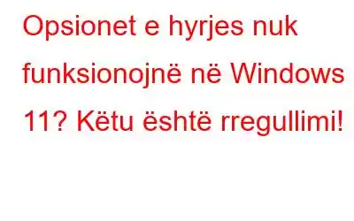 Opsionet e hyrjes nuk funksionojnë në Windows 11? Këtu është rregullimi!