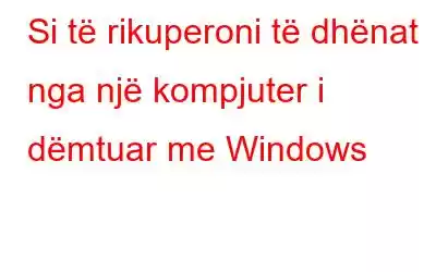 Si të rikuperoni të dhënat nga një kompjuter i dëmtuar me Windows