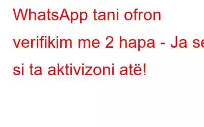 WhatsApp tani ofron verifikim me 2 hapa - Ja se si ta aktivizoni atë!