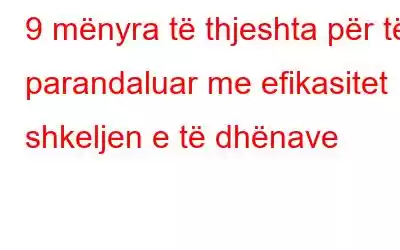 9 mënyra të thjeshta për të parandaluar me efikasitet shkeljen e të dhënave