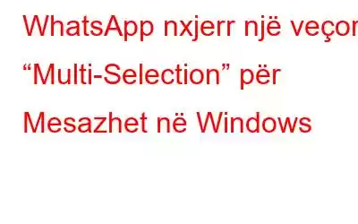 WhatsApp nxjerr një veçori “Multi-Selection” për Mesazhet në Windows