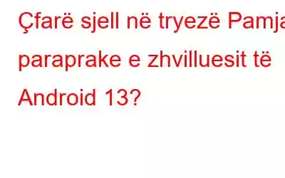 Çfarë sjell në tryezë Pamja paraprake e zhvilluesit të Android 13?