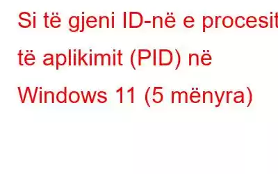 Si të gjeni ID-në e procesit të aplikimit (PID) në Windows 11 (5 mënyra)