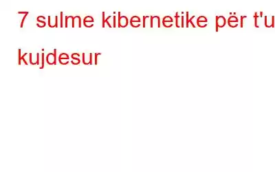 7 sulme kibernetike për t'u kujdesur