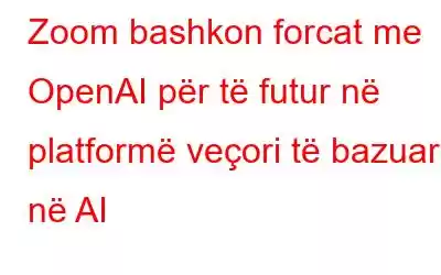 Zoom bashkon forcat me OpenAI për të futur në platformë veçori të bazuara në AI