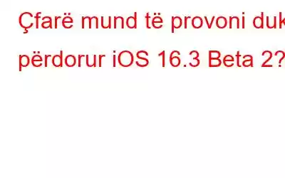 Çfarë mund të provoni duke përdorur iOS 16.3 Beta 2?