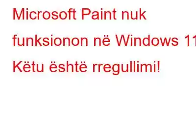 Microsoft Paint nuk funksionon në Windows 11? Këtu është rregullimi!