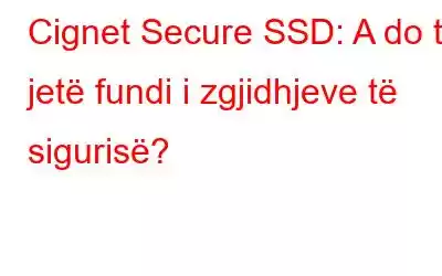 Cignet Secure SSD: A do të jetë fundi i zgjidhjeve të sigurisë?