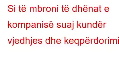 Si të mbroni të dhënat e kompanisë suaj kundër vjedhjes dhe keqpërdorimit!