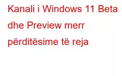 Kanali i Windows 11 Beta dhe Preview merr përditësime të reja