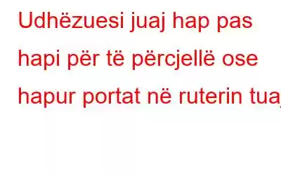 Udhëzuesi juaj hap pas hapi për të përcjellë ose hapur portat në ruterin tuaj