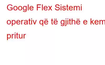 Google Flex Sistemi operativ që të gjithë e kemi pritur