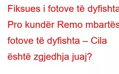 Fiksues i fotove të dyfishta Pro kundër Remo mbartës i fotove të dyfishta – Cila është zgjedhja juaj?