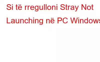 Si të rregulloni Stray Not Launching në PC Windows