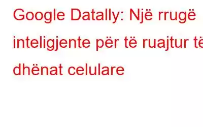 Google Datally: Një rrugë inteligjente për të ruajtur të dhënat celulare