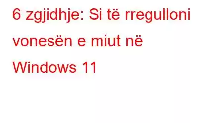 6 zgjidhje: Si të rregulloni vonesën e miut në Windows 11