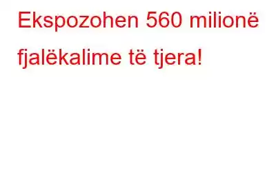 Ekspozohen 560 milionë fjalëkalime të tjera!