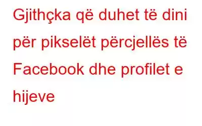 Gjithçka që duhet të dini për pikselët përcjellës të Facebook dhe profilet e hijeve