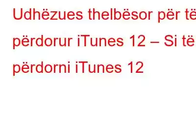 Udhëzues thelbësor për të përdorur iTunes 12 – Si të përdorni iTunes 12