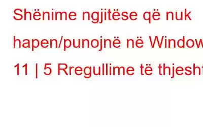 Shënime ngjitëse që nuk hapen/punojnë në Windows 11 | 5 Rregullime të thjeshta