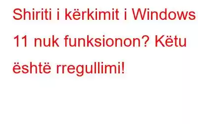 Shiriti i kërkimit i Windows 11 nuk funksionon? Këtu është rregullimi!