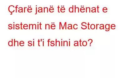 Çfarë janë të dhënat e sistemit në Mac Storage dhe si t'i fshini ato?