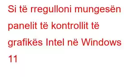 Si të rregulloni mungesën e panelit të kontrollit të grafikës Intel në Windows 11