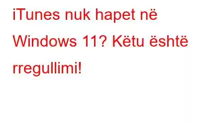 iTunes nuk hapet në Windows 11? Këtu është rregullimi!