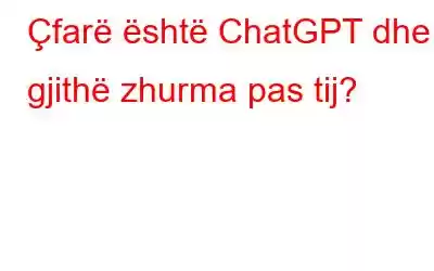 Çfarë është ChatGPT dhe gjithë zhurma pas tij?