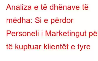 Analiza e të dhënave të mëdha: Si e përdor Personeli i Marketingut për të kuptuar klientët e tyre