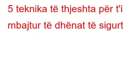 5 teknika të thjeshta për t'i mbajtur të dhënat të sigurta