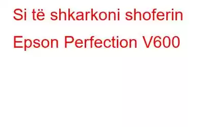 Si të shkarkoni shoferin Epson Perfection V600