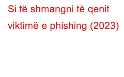 Si të shmangni të qenit viktimë e phishing (2023)