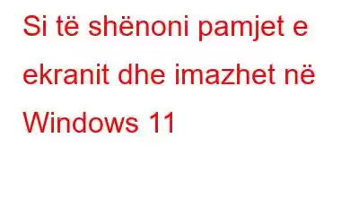 Si të shënoni pamjet e ekranit dhe imazhet në Windows 11