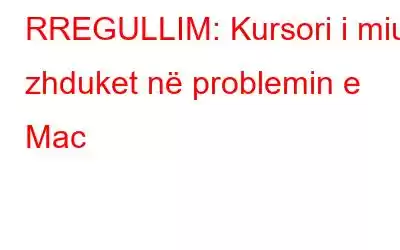 RREGULLIM: Kursori i miut zhduket në problemin e Mac