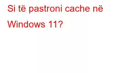 Si të pastroni cache në Windows 11?