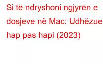 Si të ndryshoni ngjyrën e dosjeve në Mac: Udhëzues hap pas hapi (2023)