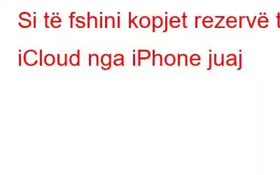 Si të fshini kopjet rezervë të iCloud nga iPhone juaj