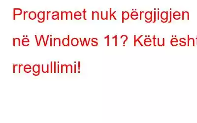 Programet nuk përgjigjen në Windows 11? Këtu është rregullimi!