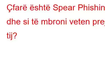 Çfarë është Spear Phishing dhe si të mbroni veten prej tij?