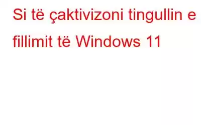 Si të çaktivizoni tingullin e fillimit të Windows 11