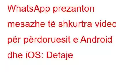 WhatsApp prezanton mesazhe të shkurtra video për përdoruesit e Android dhe iOS: Detaje