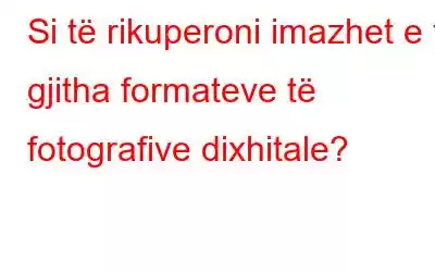 Si të rikuperoni imazhet e të gjitha formateve të fotografive dixhitale?