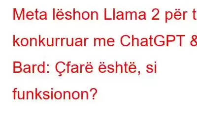 Meta lëshon Llama 2 për të konkurruar me ChatGPT & Bard: Çfarë është, si funksionon?