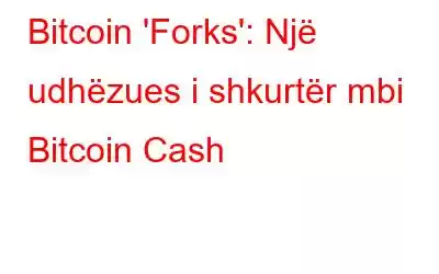 Bitcoin 'Forks': Një udhëzues i shkurtër mbi Bitcoin Cash