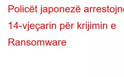 Policët japonezë arrestojnë 14-vjeçarin për krijimin e Ransomware