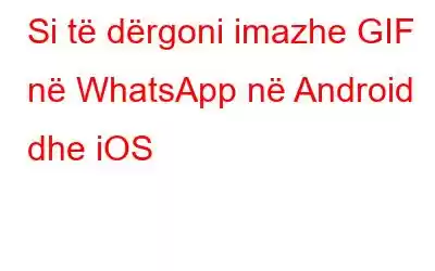 Si të dërgoni imazhe GIF në WhatsApp në Android dhe iOS